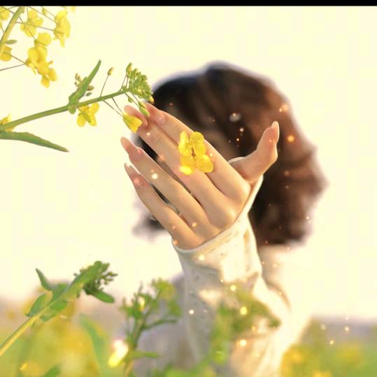 杏花微雨、