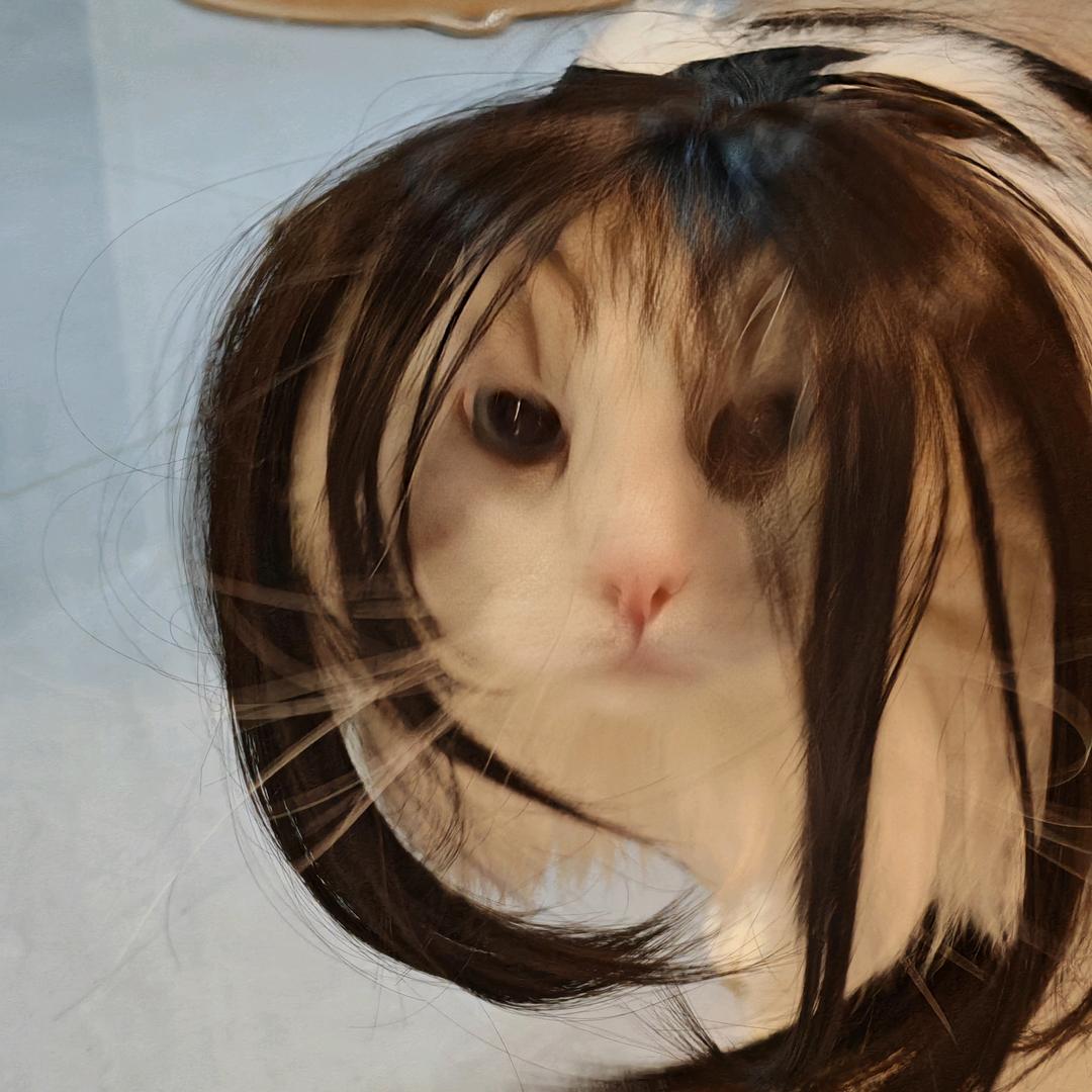 跳跳糖
