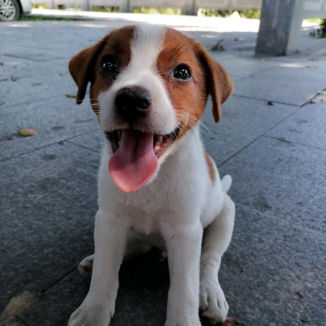 广西人自驾全国