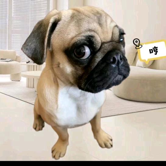 国货之光(影视版)