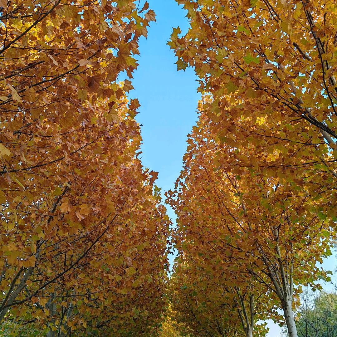 余生很贵，不要浪费……