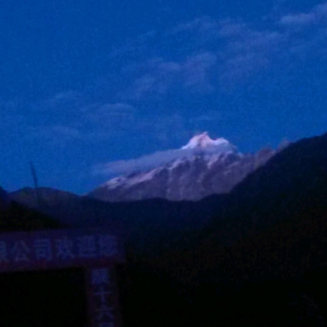 效果最好的聚氨酯