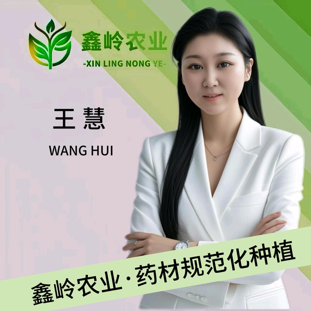 鑫岭农业王慧（招团队）