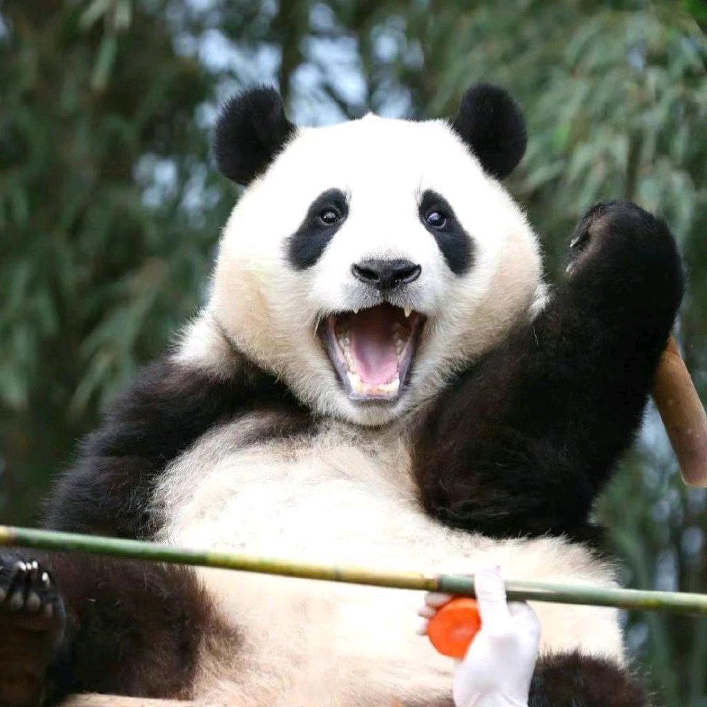 🌈一个没有名字的朋友🌈