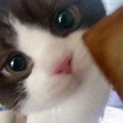 自然好好yu