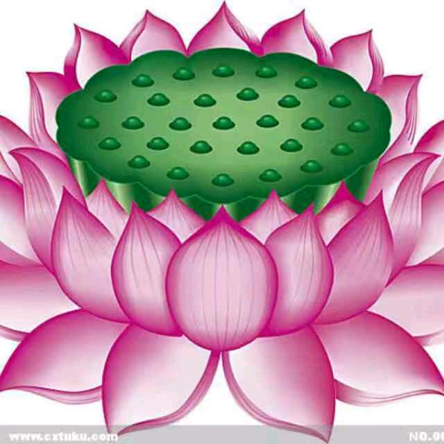 善结有缘@雷八姐