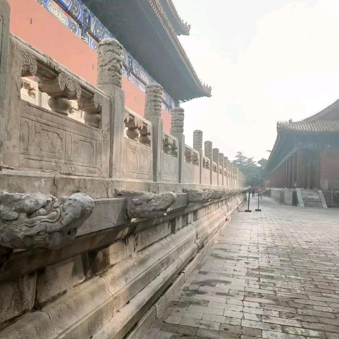 A桂