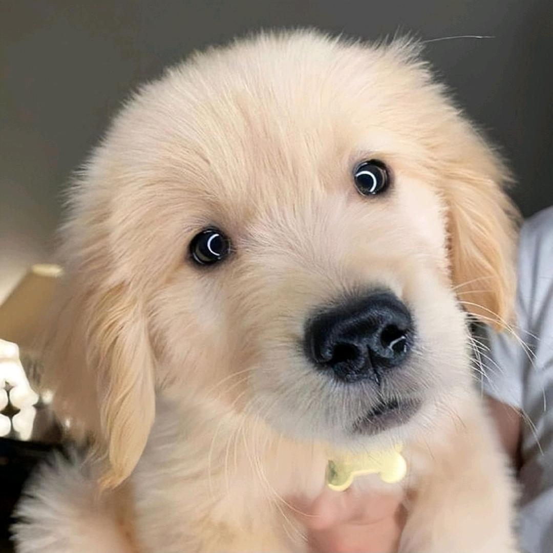 TK小曾出海记（跨境出海）