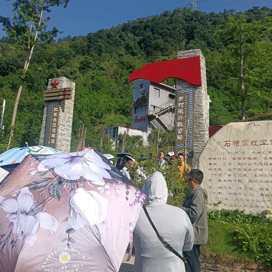 青山绿水