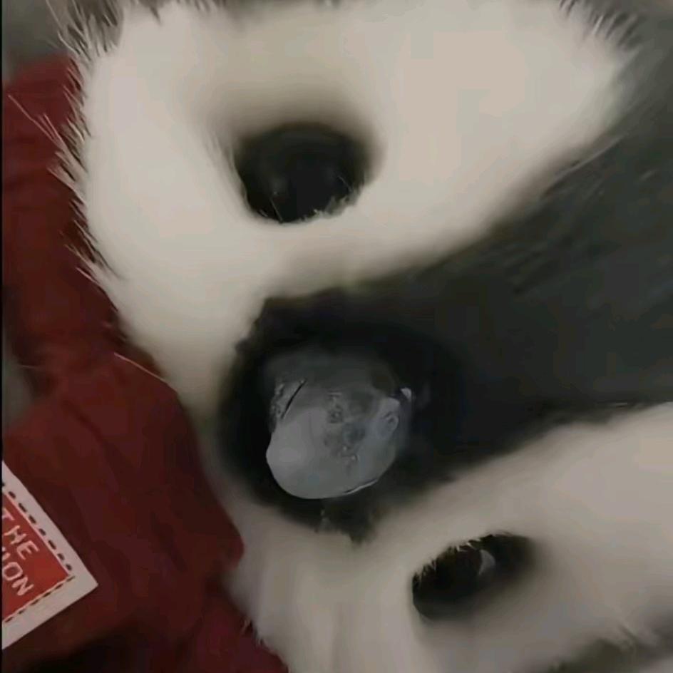 稔年