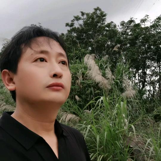 汪哥