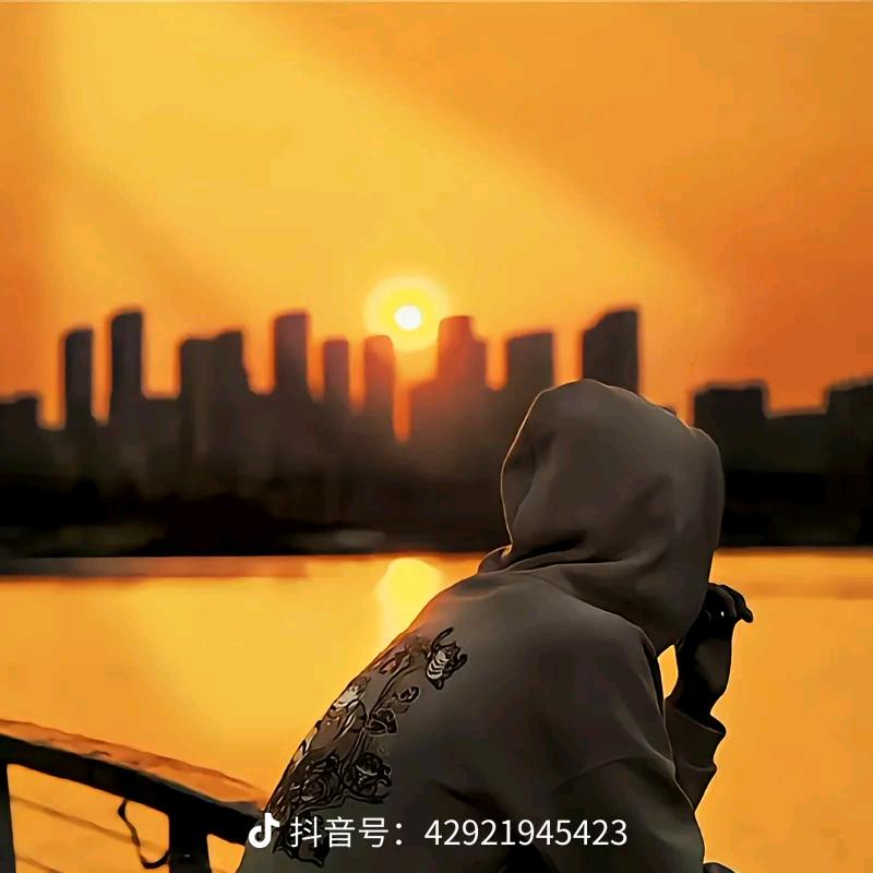 老宝