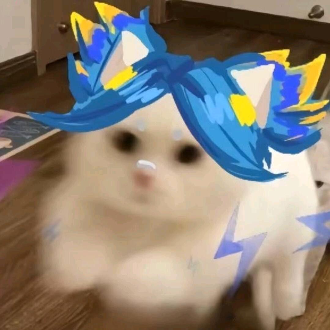 呆er