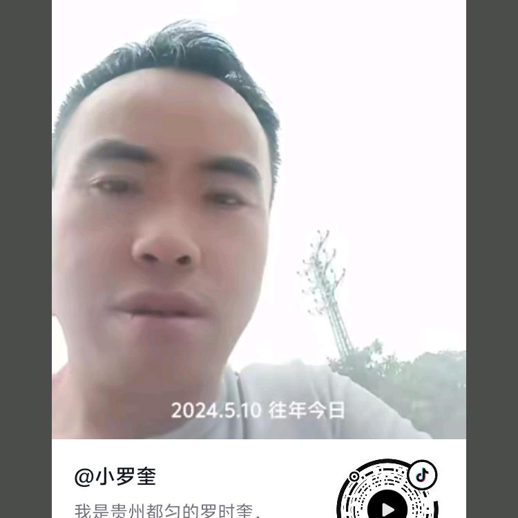 小罗奎