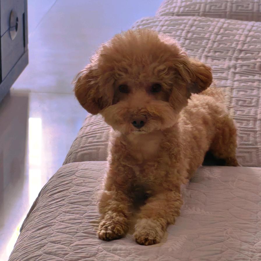 咋了，那又咋了