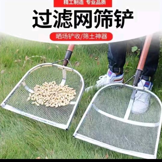 xixi优选