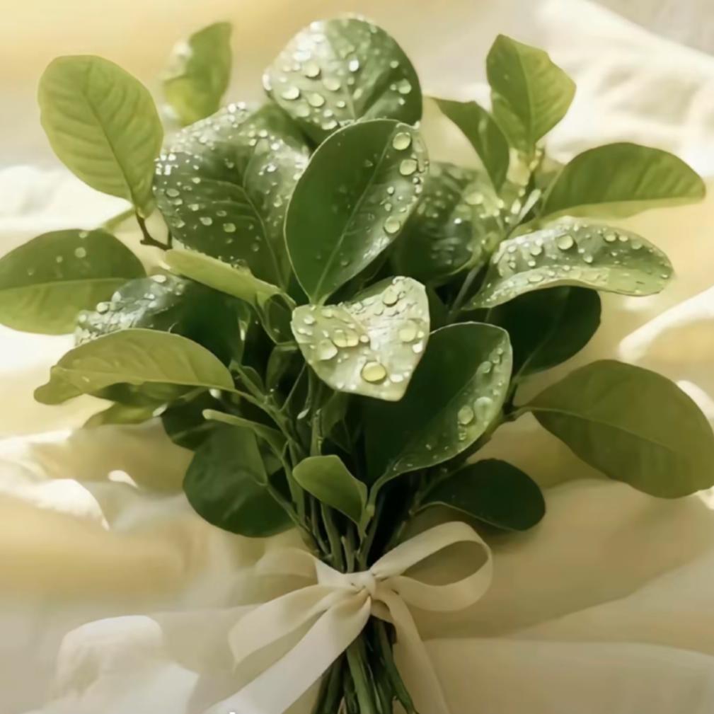 💞心向阳光💫