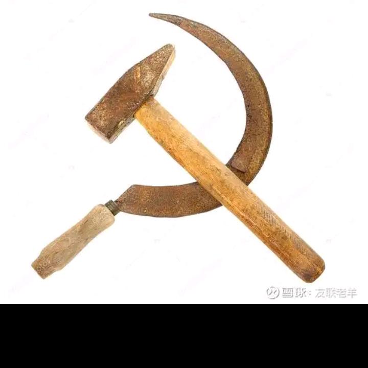 新华觉醒