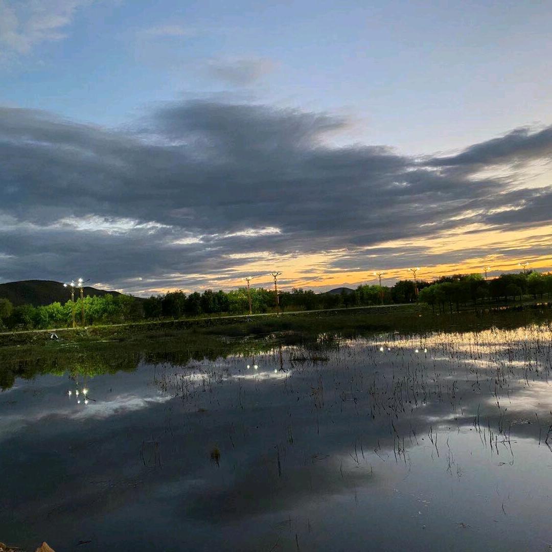 喜欢黄翅鱼的祝胖子