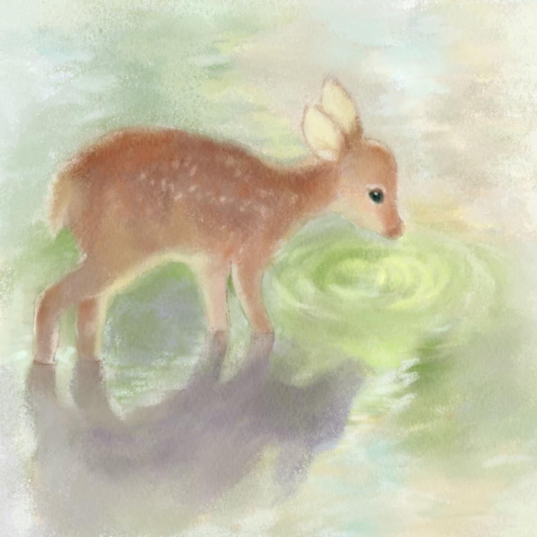 小鹿