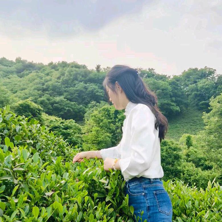 茶小汪