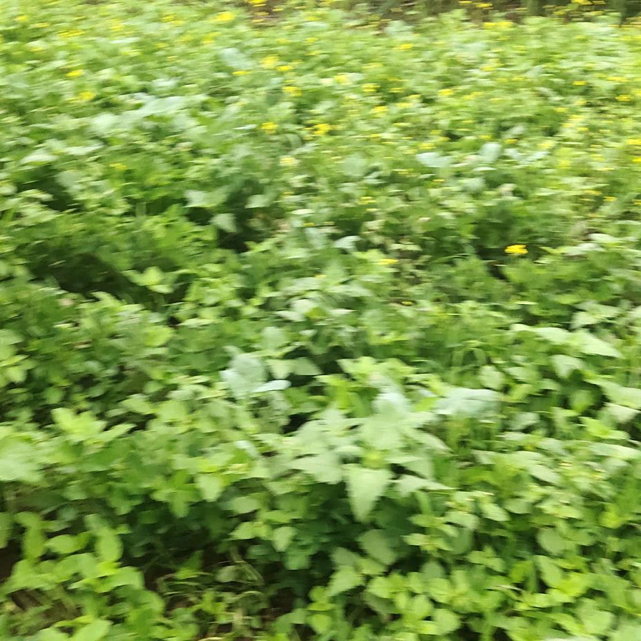 用户3917152969762