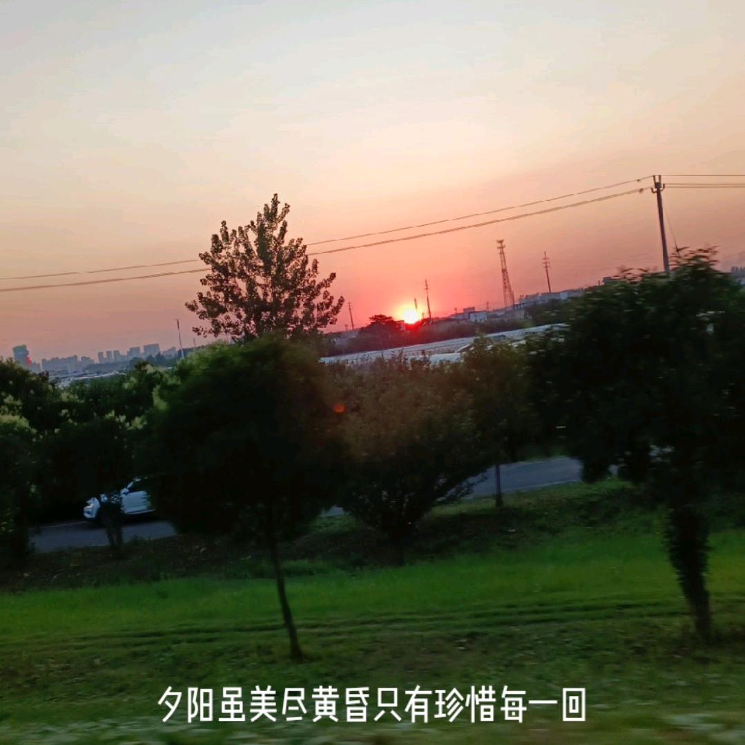 曹姐