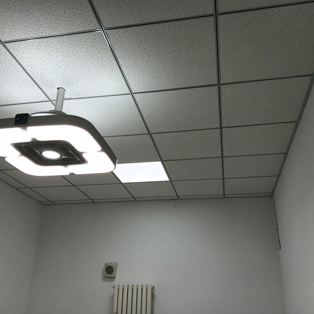 努力赚钱吧，其他什么也不想啦！