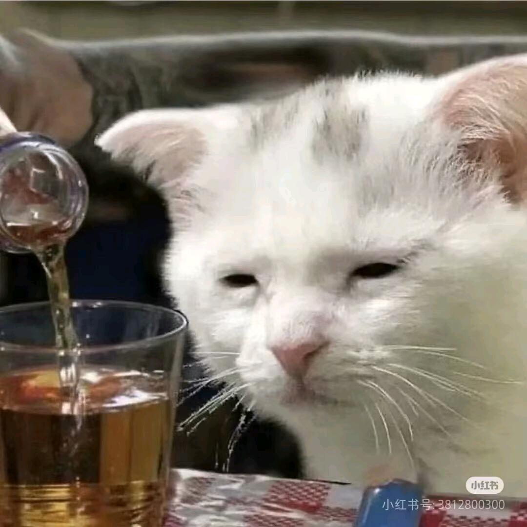 🧐🧐🧐