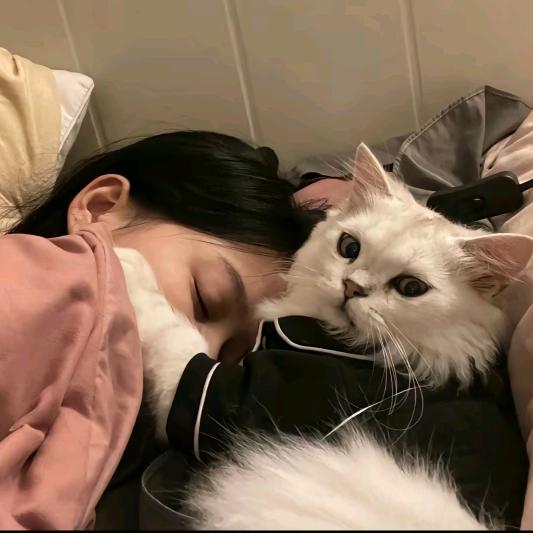 詩倩.