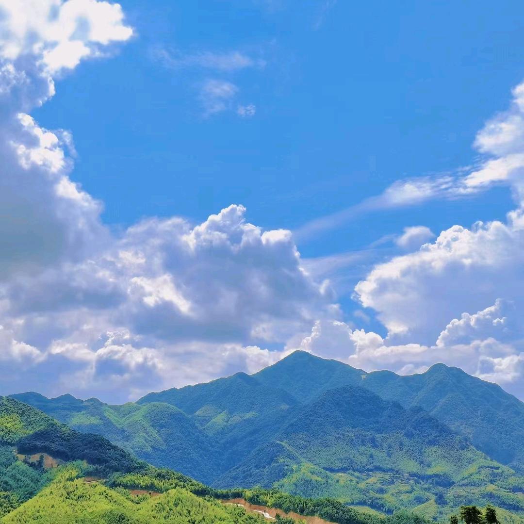 江小白