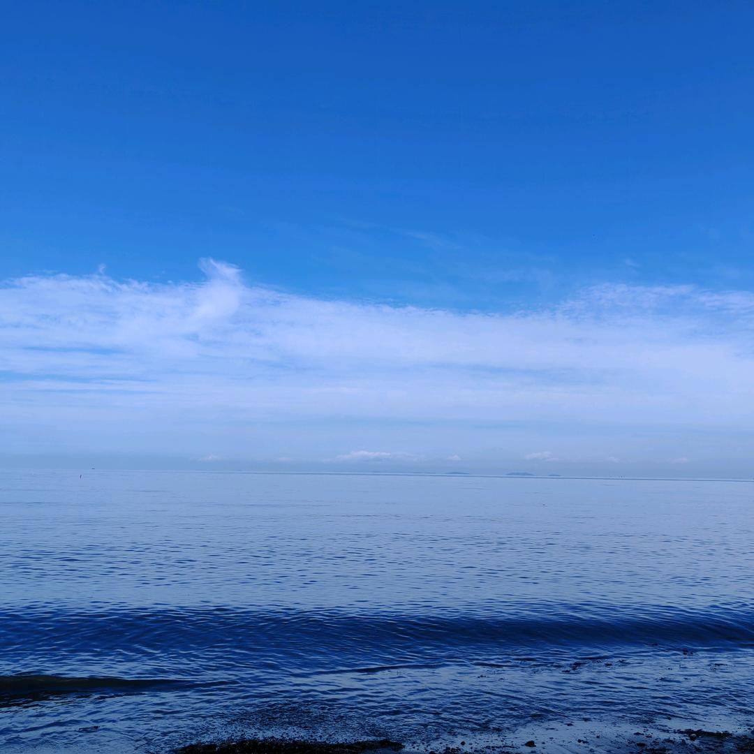 大胖丫的日常