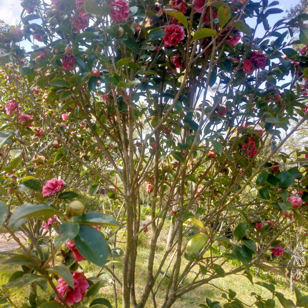 下一站