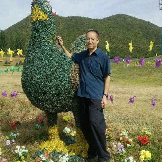 魔术