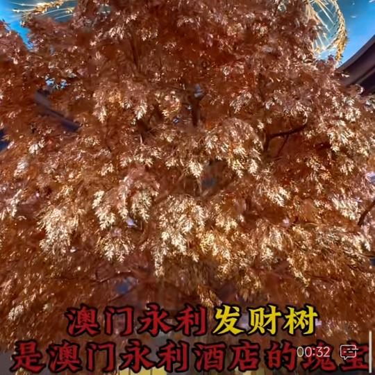 祥哥