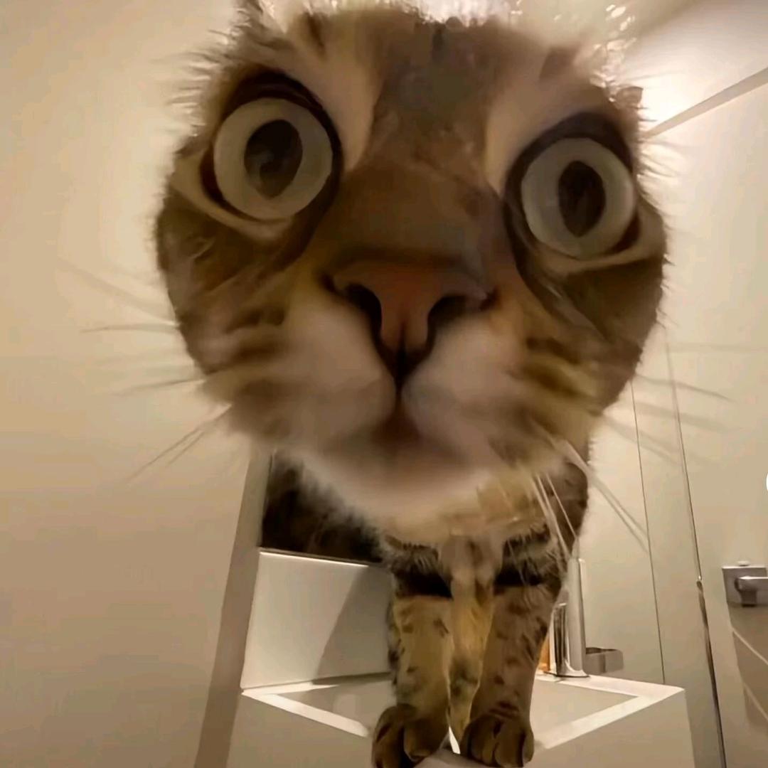 我我我我我我我.