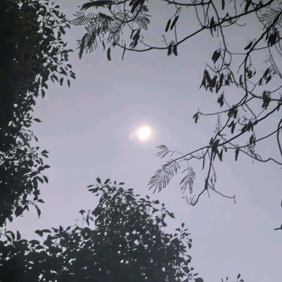 ꧁蘭玉꧂