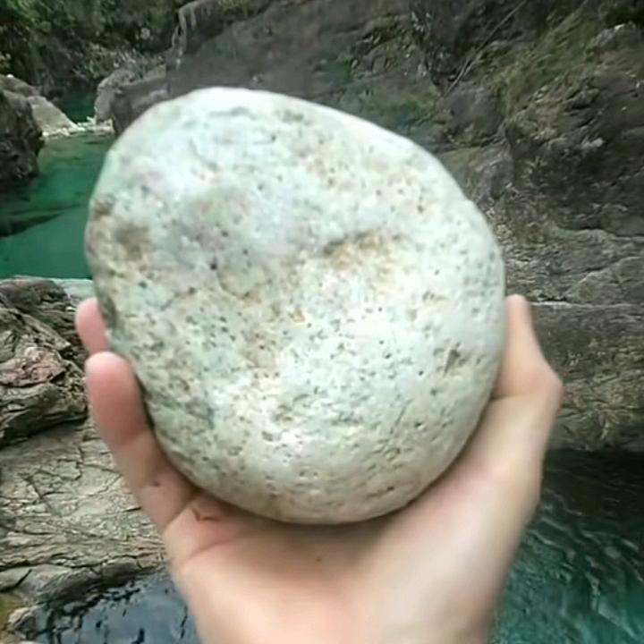 大菜弟
