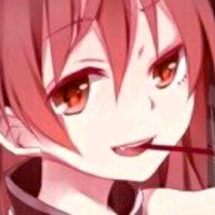 爱睡觉的猫(嗜睡症版)