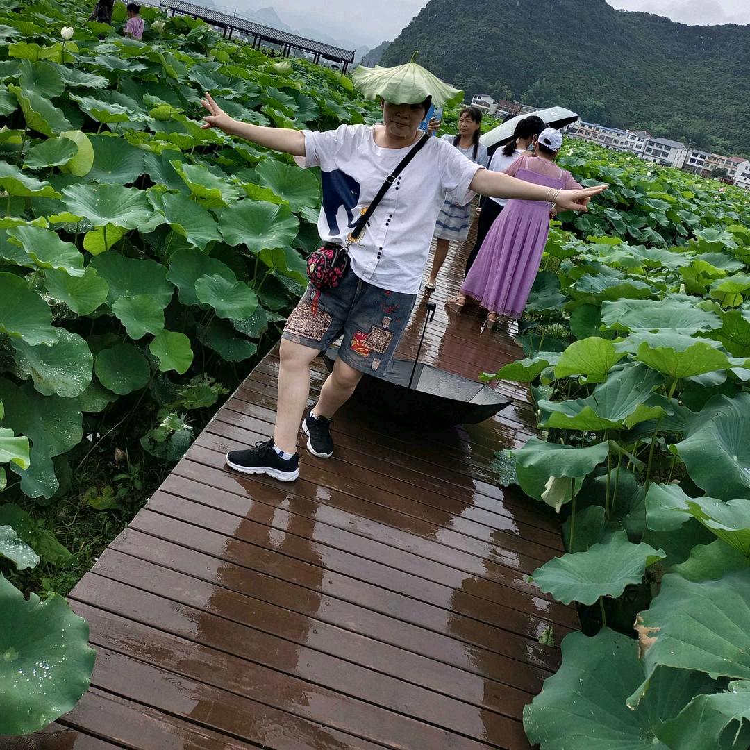 白天不懂夜的黑
