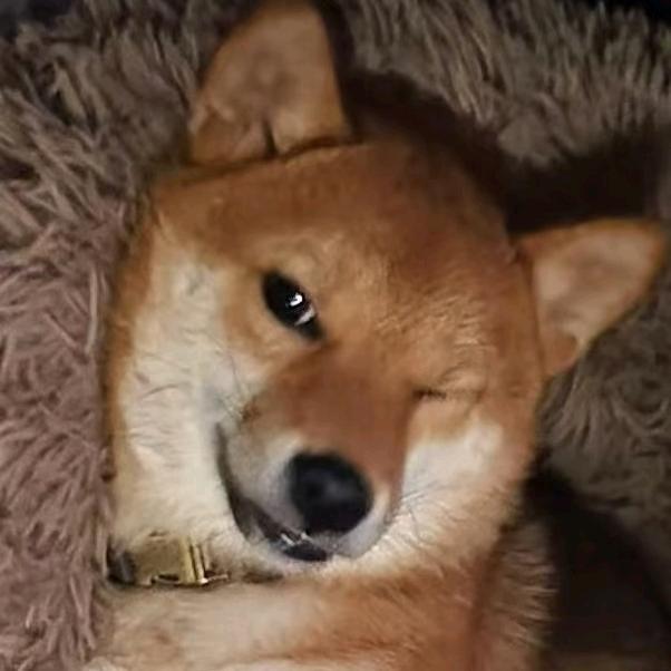 桥抖的旅游攻略