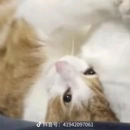 小L