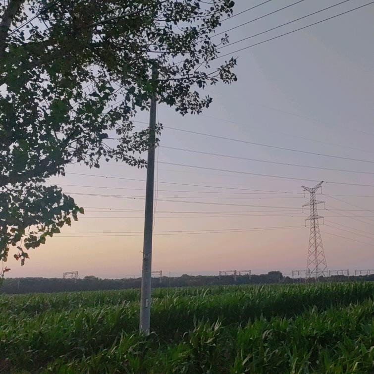 、孤独飞翔｀～