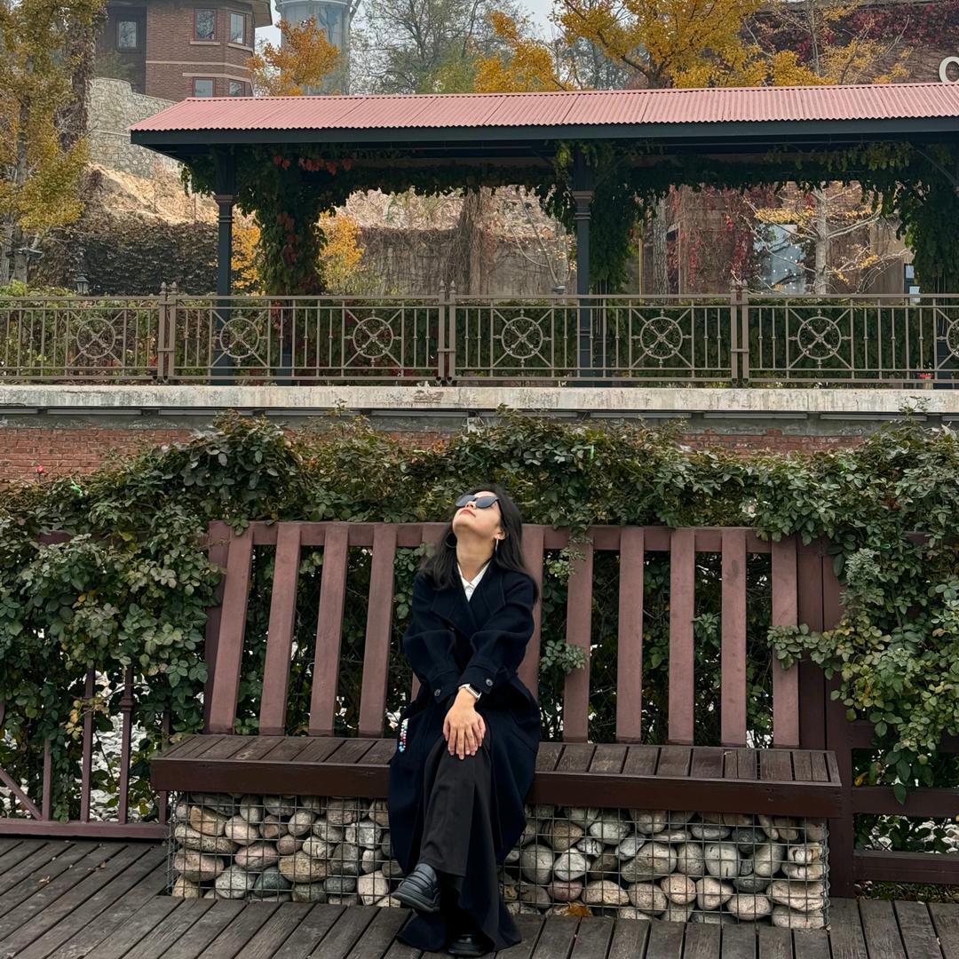 生菜小狗不吃生菜