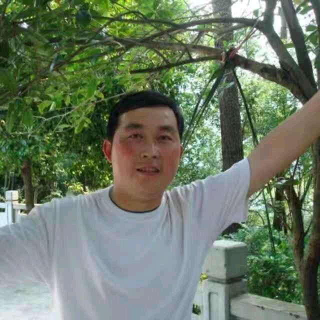 白杨