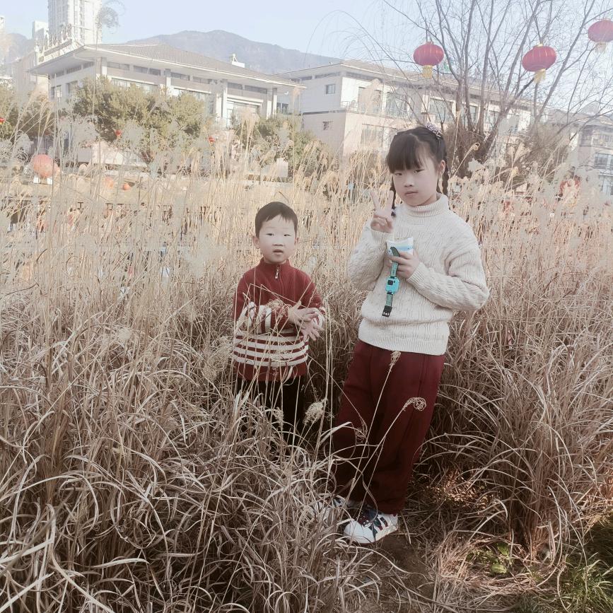 追着阳光