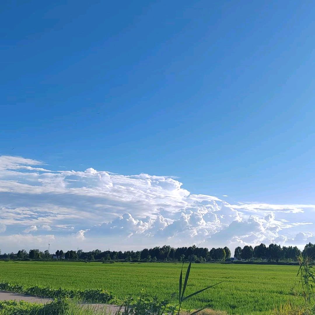 岁月无声