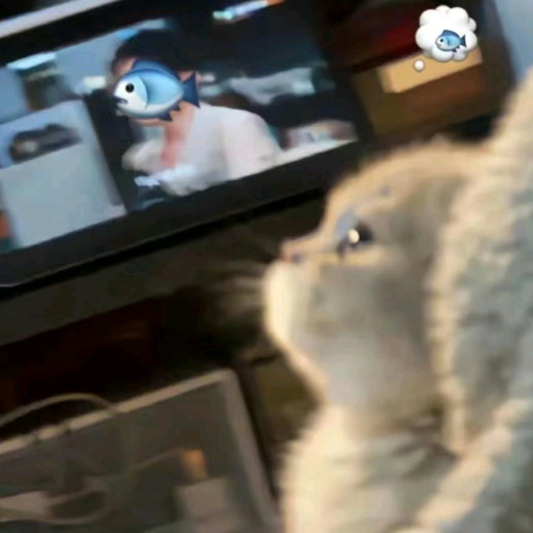 - ̗̀ ꪔ̤̥ꪔ̤̮ꪔ̤̫  ̖́-