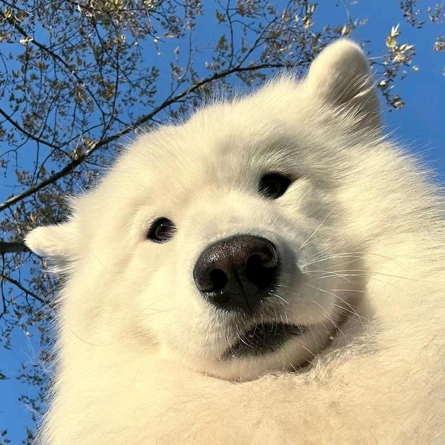 愿卿解我长思忆