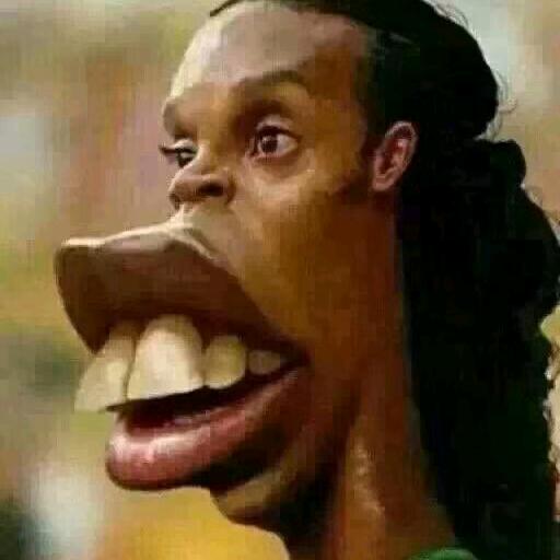 十二生肖有驴吗